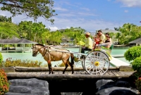 The Main Lobby enjoys an expansive view of the hotel grounds (or more accurately, waters).